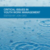 Critical Issues in Youth Work Management eBook