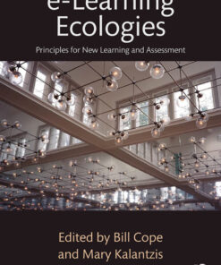 e-Learning Ecologies: Principles for New Learning and Assessment eBook