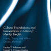 Cultural Foundations and Interventions in Latino/a Mental Health: History, Theory and within Group Differences eBook
