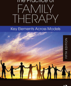 The Practice of Family Therapy: Key Elements Across Models eBook