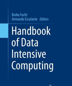Handbook of Data Intensive Computing eBook