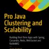 Pro Java Clustering and Scalability: Building Real-Time Apps with Spring, Cassandra, Redis, WebSocket and RabbitMQ eBook