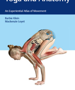 Yoga and Anatomy: An Experiential Atlas of Movement eBook