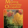 The Meaning of Everyday Occupation eBook