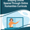 Shaping Online Spaces Through Online Humanities Curricula eBook