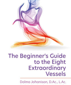 The Beginner's Guide to the Eight Extraordinary Vessels eBook