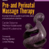 Pre- and Perinatal Massage Therapy: A Comprehensive Guide to Prenatal, Labor and Postpartum Practice eBook
