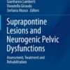 Suprapontine Lesions and Neurogenic Pelvic Dysfunctions: Assessment, Treatment and Rehabilitation eBook