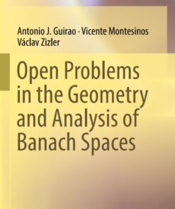 Open Problems in the Geometry and Analysis of Banach Spaces eBook