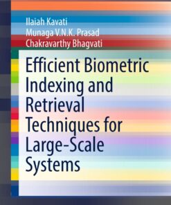 Efficient Biometric Indexing and Retrieval Techniques for Large-Scale Systems eBook