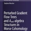 Perturbed Gradient Flow Trees and A∞-algebra Structures in Morse Cohomology eBook