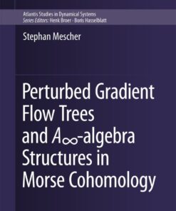 Perturbed Gradient Flow Trees and A∞-algebra Structures in Morse Cohomology eBook