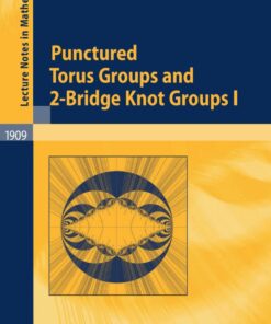 Punctured Torus Groups and 2-Bridge Knot Groups (I) eBook