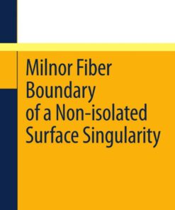 Milnor Fiber Boundary of a Non-isolated Surface Singularity eBook