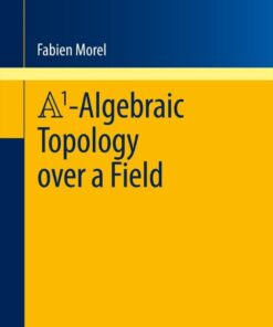 A1-Algebraic Topology over a Field eBook