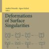 Deformations of Surface Singularities eBook
