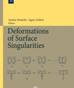 Deformations of Surface Singularities eBook