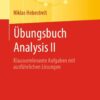 Übungsbuch Analysis II: Klausurrelevante Aufgaben mit ausführlichen Lösungen eBook
