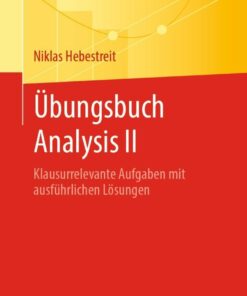 Übungsbuch Analysis II: Klausurrelevante Aufgaben mit ausführlichen Lösungen eBook