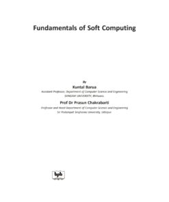 Fundamentals of Soft Computing eBook