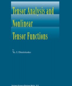 Tensor Analysis and Nonlinear Tensor Functions eBook