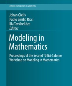 Modeling in Mathematics: Proceedings of the Second Tbilisi-Salerno Workshop on Modeling in Mathematics eBook