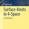 Surface-Knots in 4-Space: An Introduction eBook