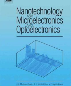 Nanotechnology for Microelectronics and Optoelectronics eBook
