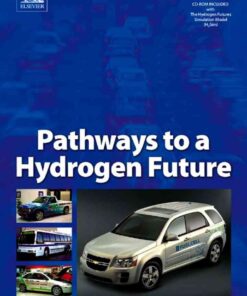 Pathways to a Hydrogen Future eBook