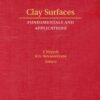 Clay Surfaces: Fundamentals and Applications eBook