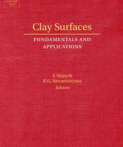 Clay Surfaces: Fundamentals and Applications eBook