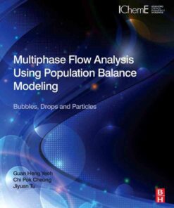 Multiphase Flow Analysis Using Population Balance Modeling: Bubbles, Drops and Particles eBook