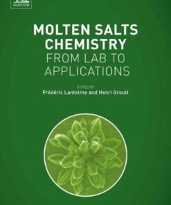 Molten Salts Chemistry: From Lab to Applications eBook