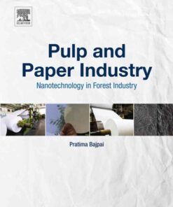 Pulp and Paper Industry: Nanotechnology in Forest Industry eBook
