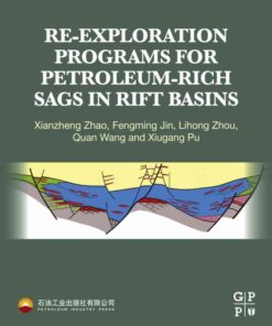 Re-exploration Programs for Petroleum-Rich Sags in Rift Basins eBook