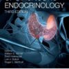 Handbook of Diagnostic Endocrinology eBook