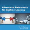 Adversarial Robustness for Machine Learning eBook