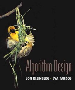 Algorithm Design, 1st Edition eBook