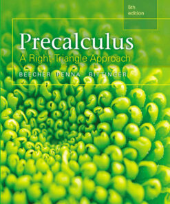 Precalculus: A Right Triangle Approach, 5th Edition eBook