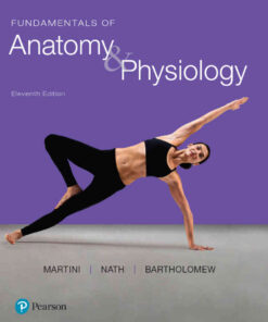 Fundamentals of Anatomy & Physiology, 11th Edition eBook