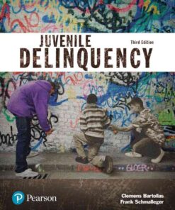 Juvenile Delinquency (Justice Series), 3rd Edition eBook