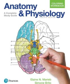Anatomy and Physiology Coloring Workbook: A Complete Study Guide, 12th Edition eBook