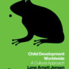 Child Development Worldwide: A Cultural Approach, 1st Edition eBook