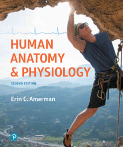 Human Anatomy & Physiology, 2nd Edition eBook