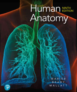 Human Anatomy, 9th Edition eBook