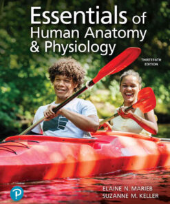 Essentials of Human Anatomy & Physiology, 13th Edition eBook