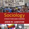 Sociology: Structure and Change, 1st Edition eBook