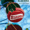 Introductory Algebra for College Students, 8th Edition eBook