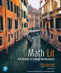 Math Lit: A Pathway to College Mathematics, 3rd Edition eBook