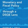 Monetary and Fiscal Policy through a DSGE Lens eBook